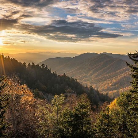 Cubs Cove Βίλα Gatlinburg Εξωτερικό φωτογραφία