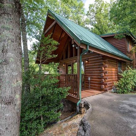 Cubs Cove Βίλα Gatlinburg Εξωτερικό φωτογραφία