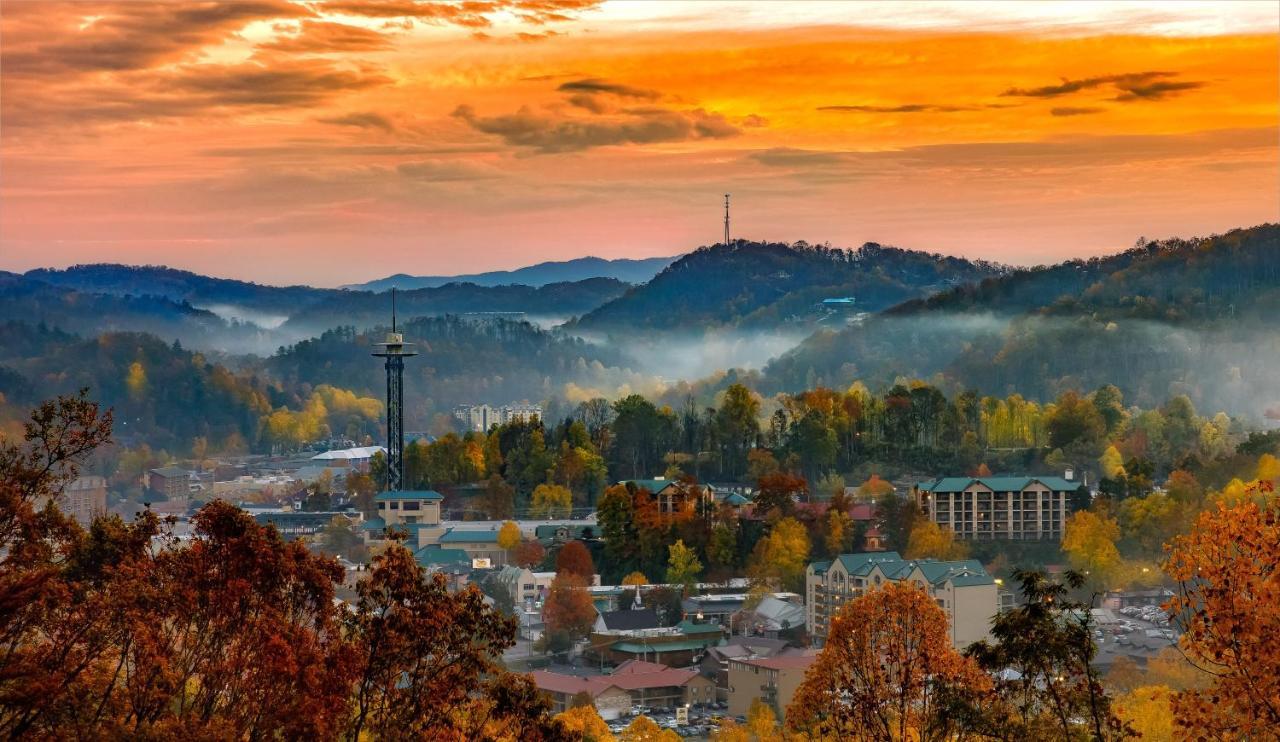 Cubs Cove Βίλα Gatlinburg Εξωτερικό φωτογραφία