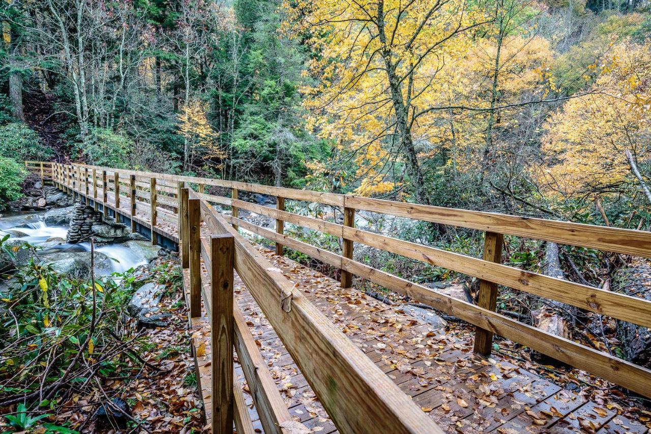 Cubs Cove Βίλα Gatlinburg Εξωτερικό φωτογραφία