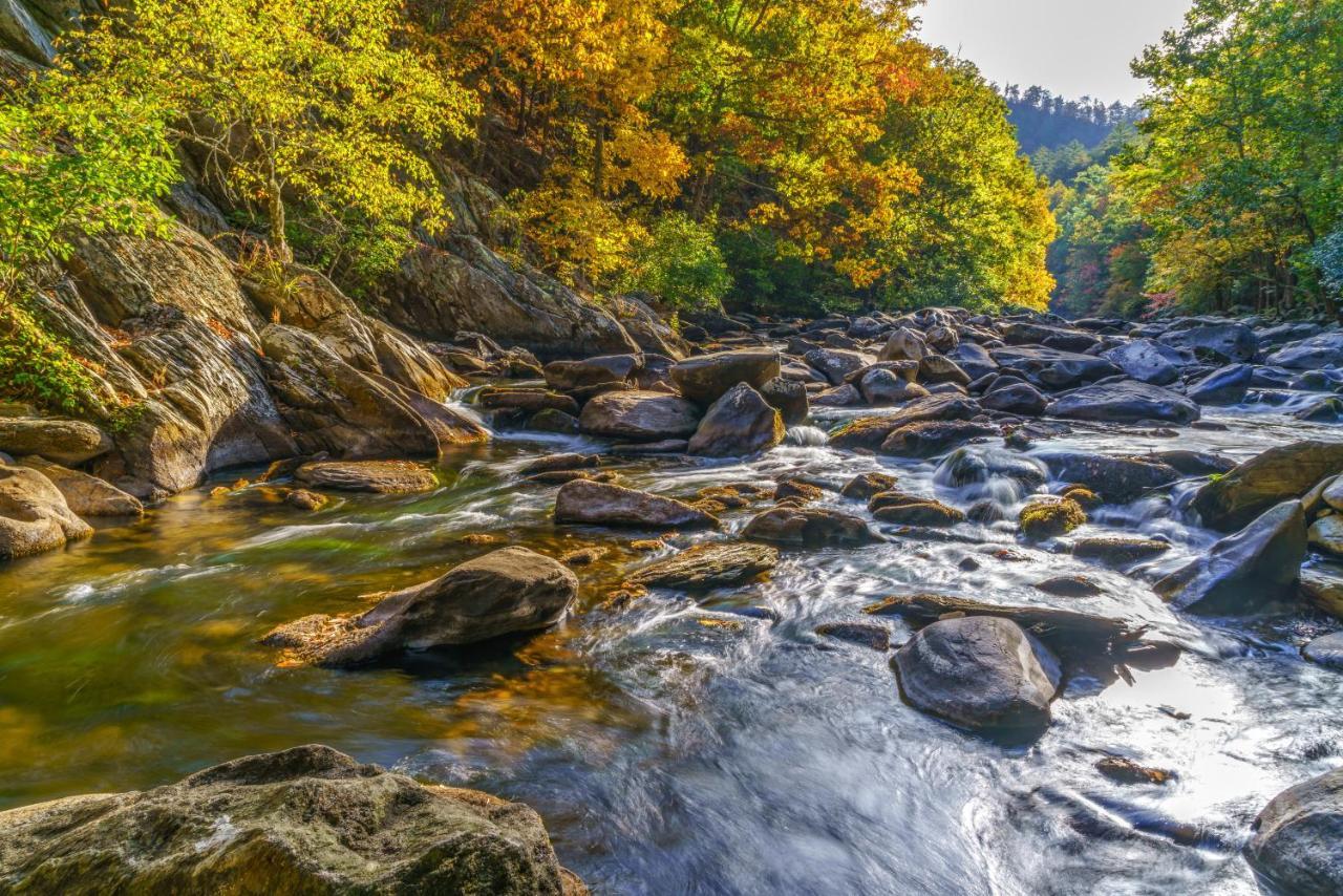Cubs Cove Βίλα Gatlinburg Εξωτερικό φωτογραφία